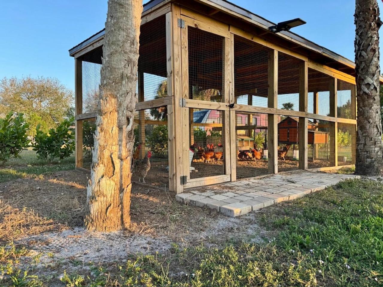 Naples Charming Cottage Orangetree Exterior photo
